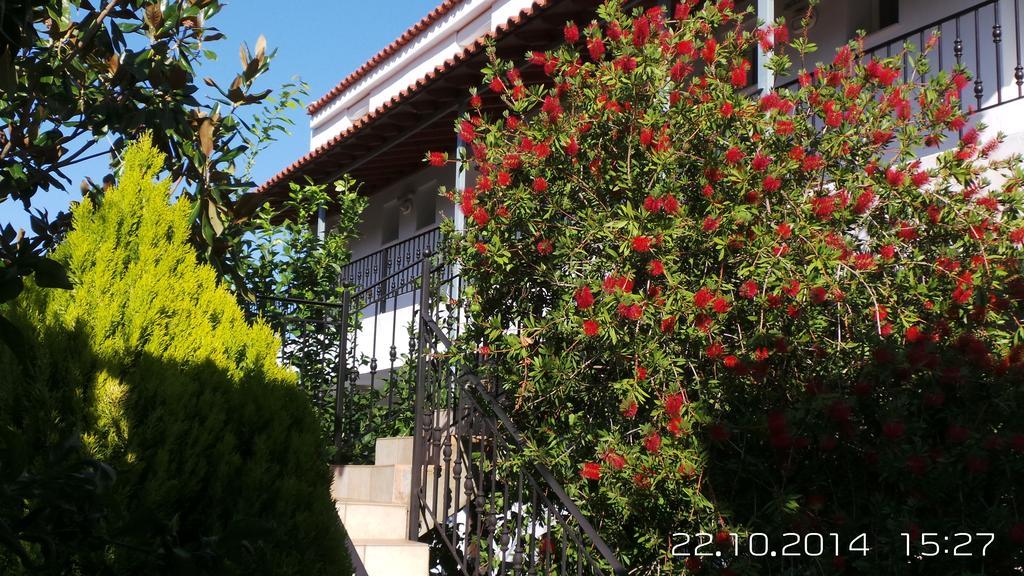 Skiathos Studios Panorama المظهر الخارجي الصورة